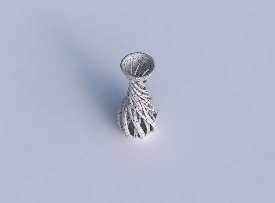 Vase twisted spherical bottom with intertwining lines twisted... 3D print model_6