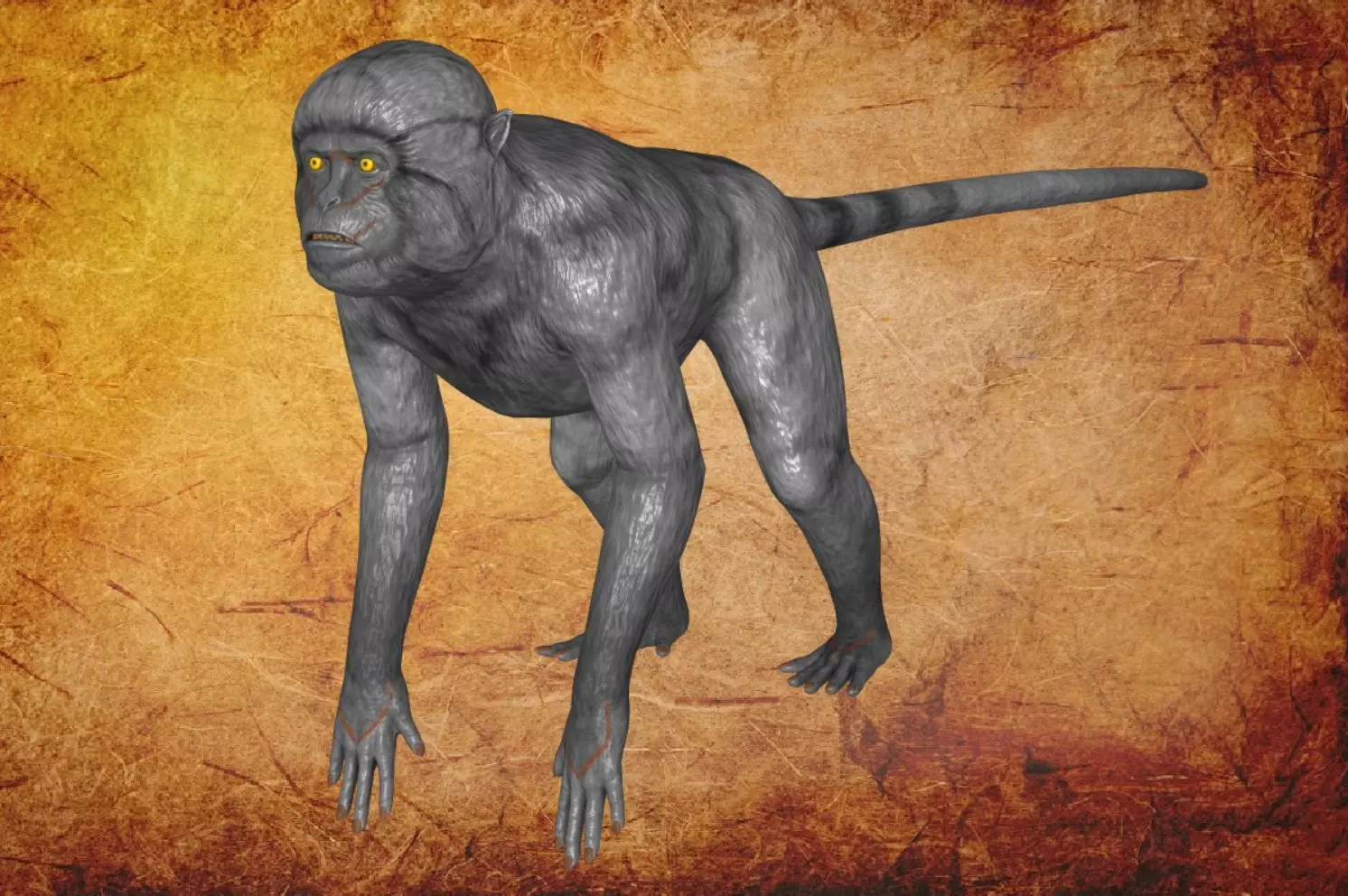 Animal - Monkey Low-poly 3D model_0