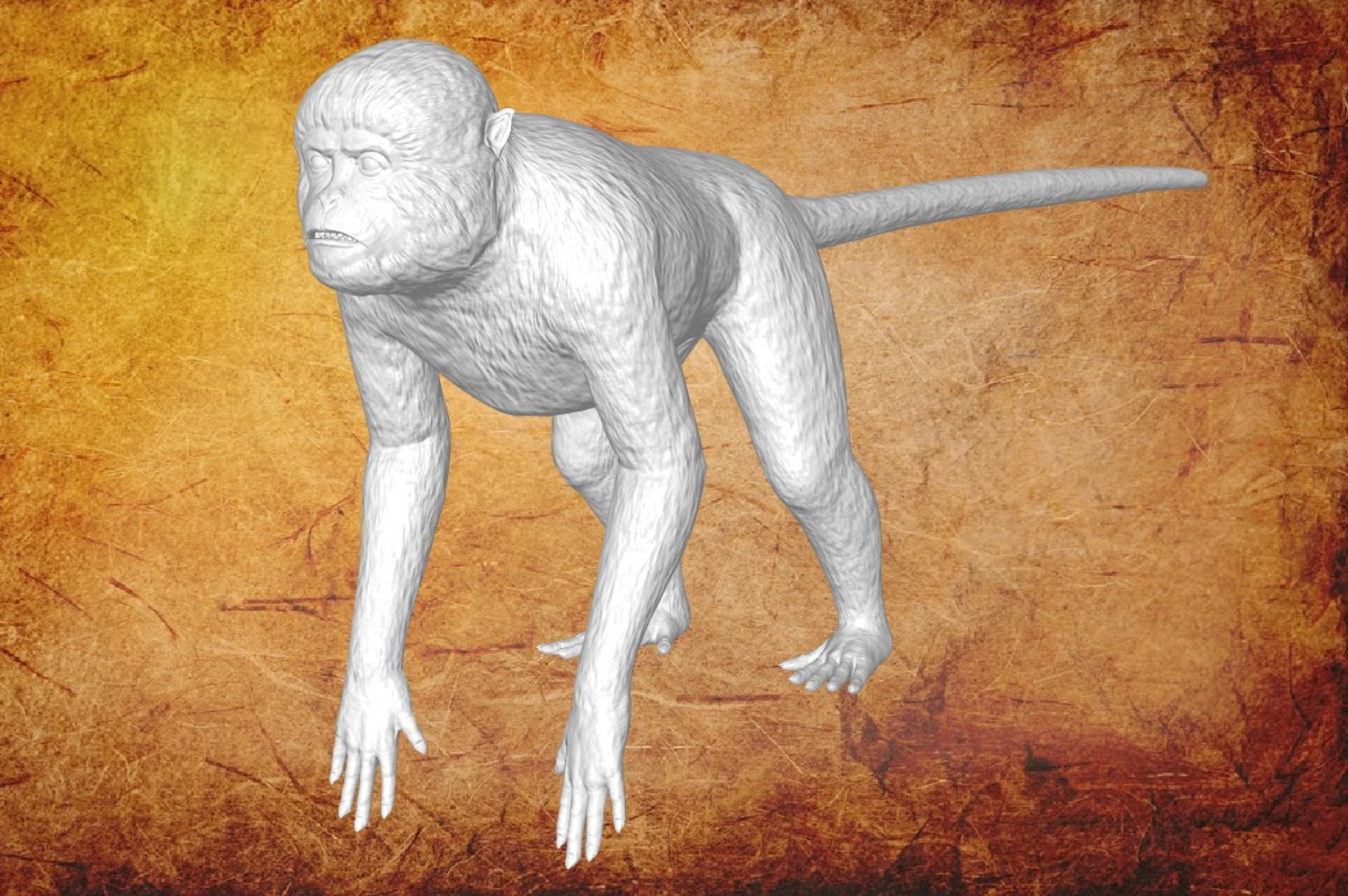 Animal - Monkey Low-poly 3D model_7