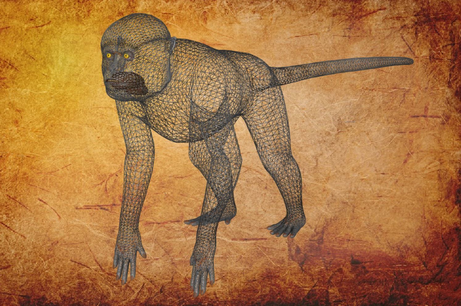 Animal - Monkey Low-poly 3D model_8