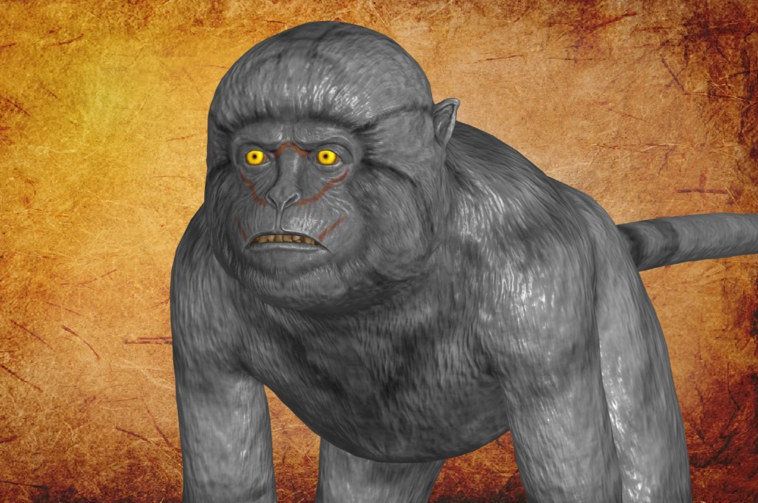 Animal - Monkey Low-poly 3D model_12