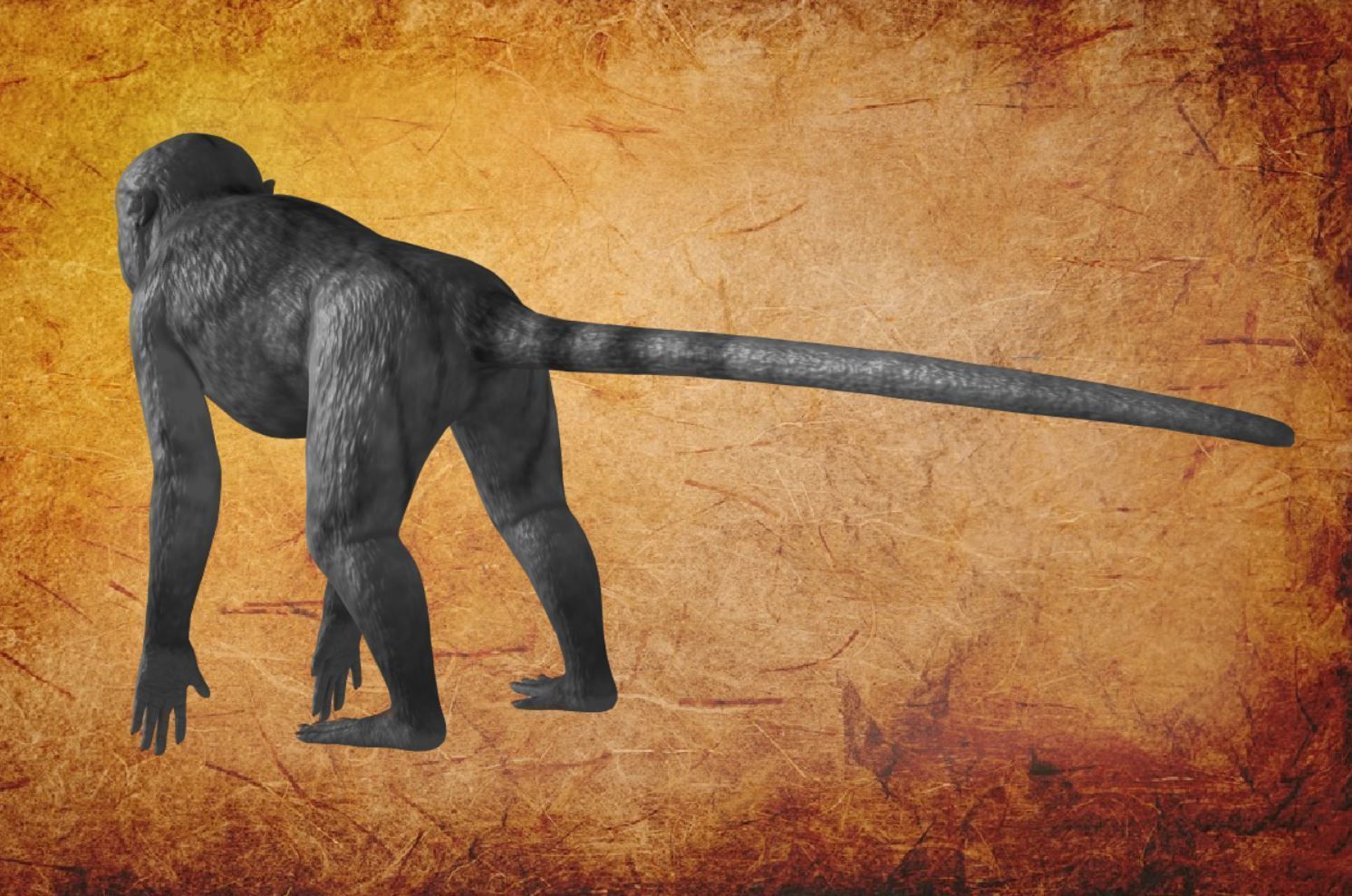 Animal - Monkey Low-poly 3D model_10