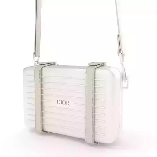 Dior and Rimowa Clutch Shoulder Gray