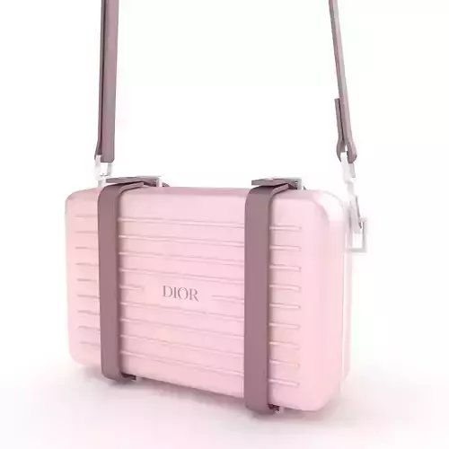 Dior and Rimowa Clutch Shoulder Pink