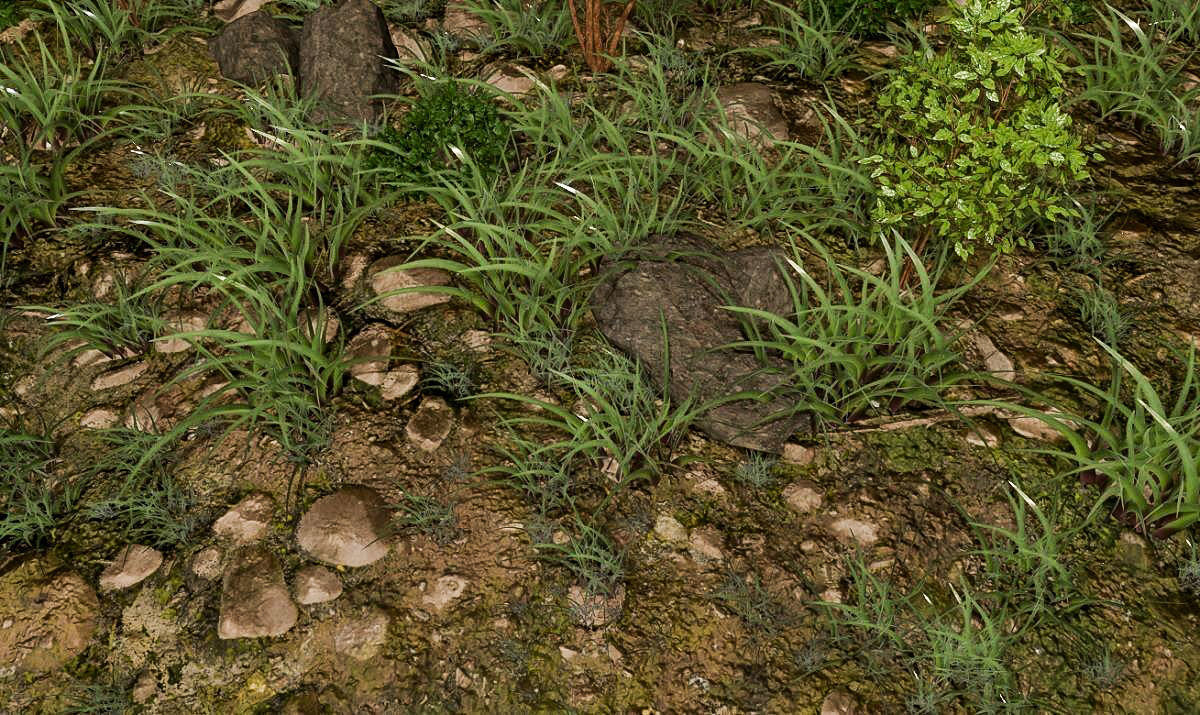 Woodland Terrain 3D Environment Model 3D model_5