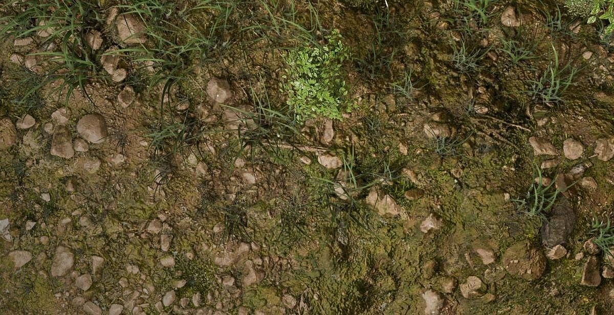 Woodland Terrain 3D Environment Model 3D model_2