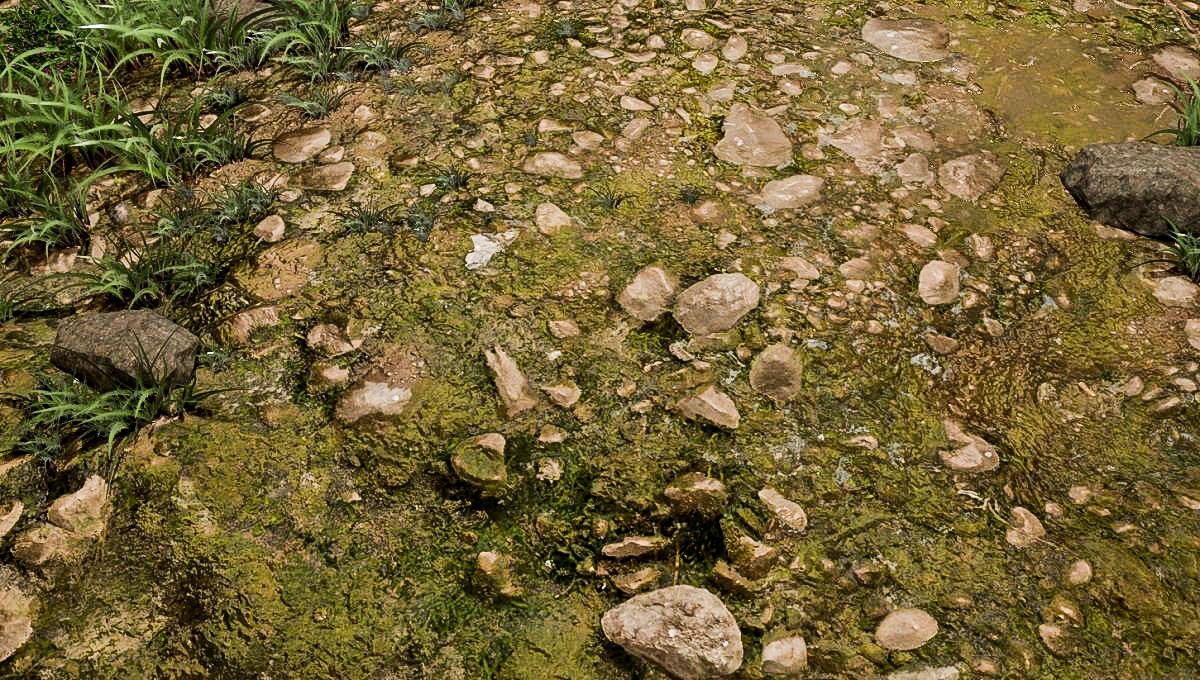 Woodland Terrain 3D Environment Model 3D model_1