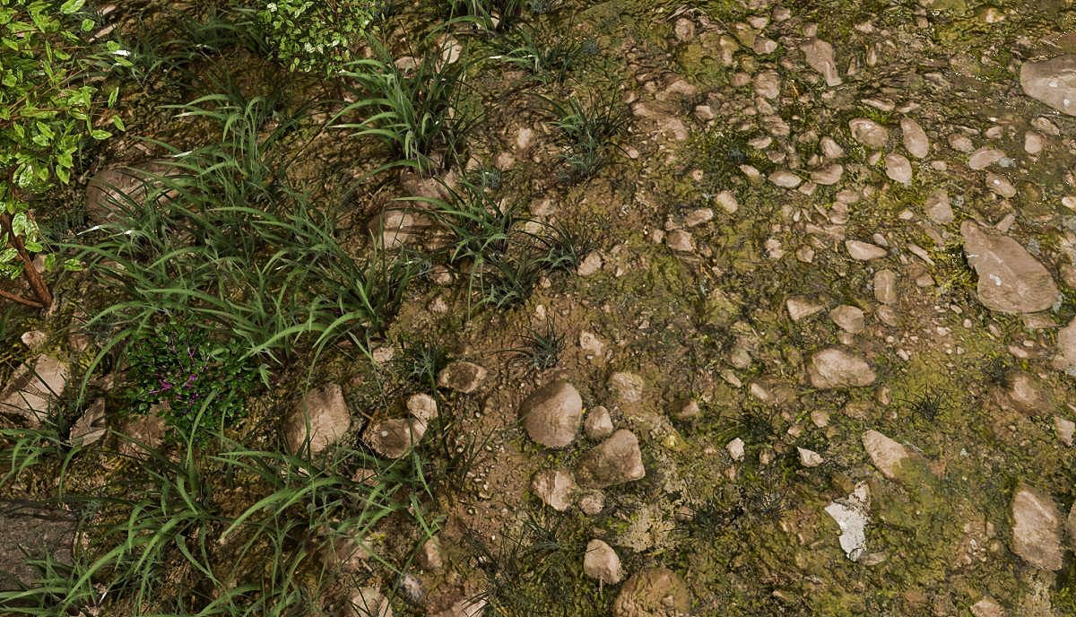 Woodland Terrain 3D Environment Model 3D model_3