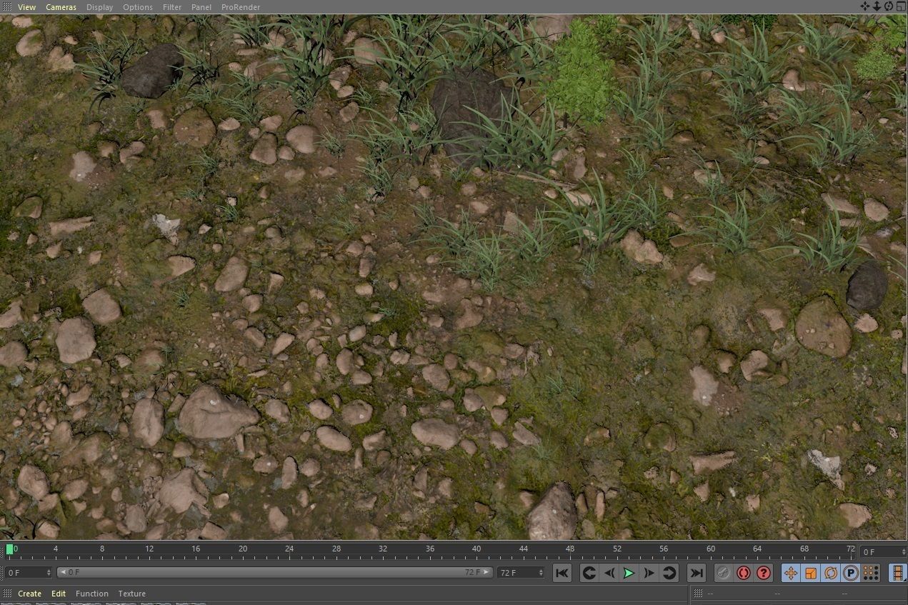 Woodland Terrain 3D Environment Model 3D model_13