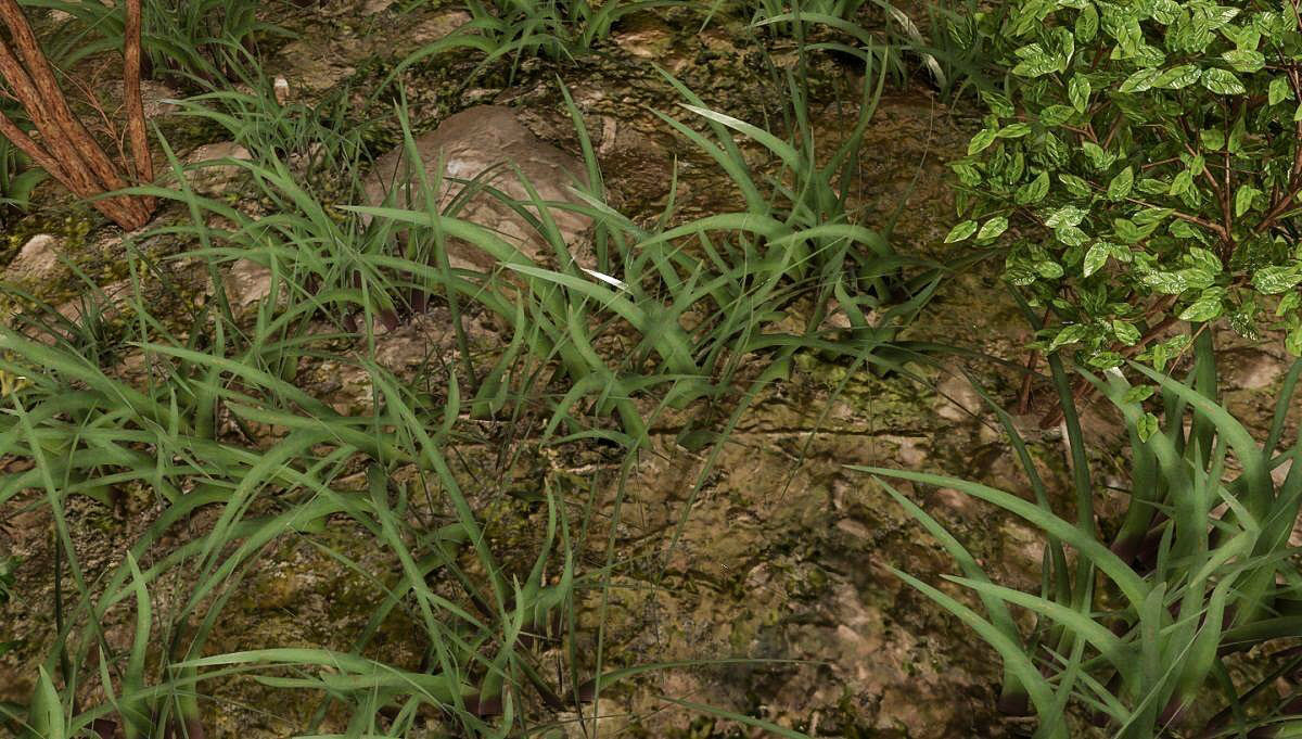 Woodland Terrain 3D Environment Model 3D model_7