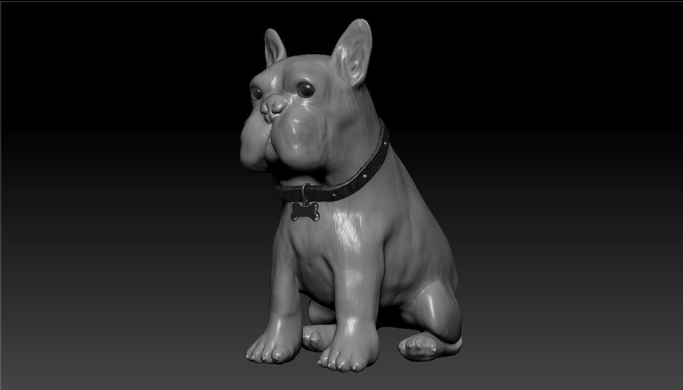 Bulldog french 3D model_3