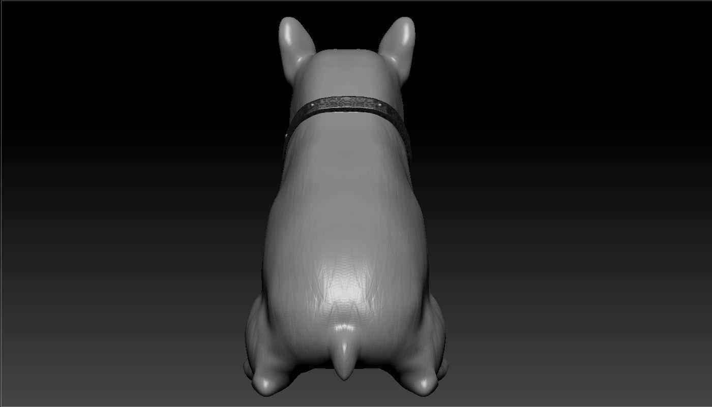 Bulldog french 3D model_6