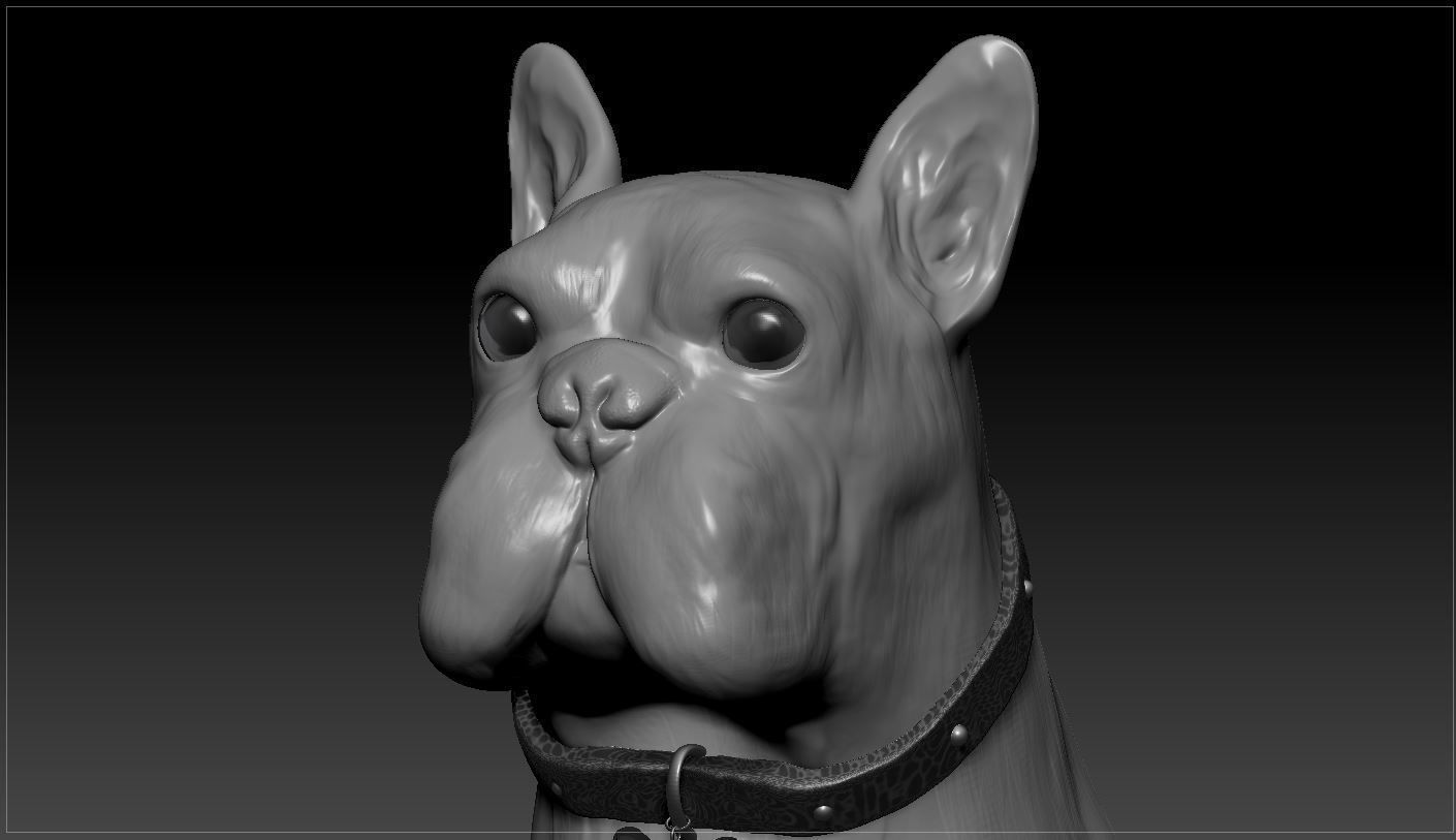 Bulldog french 3D model_8