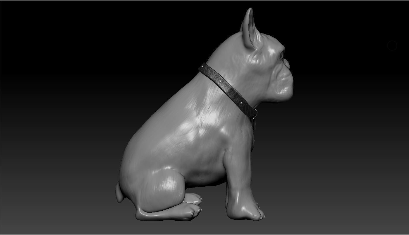 Bulldog french 3D model_4