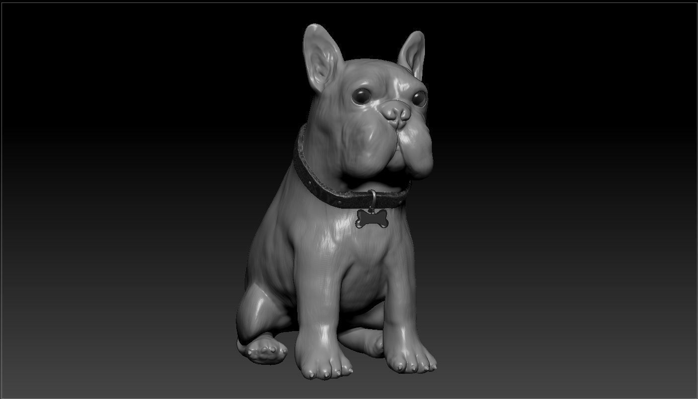 Bulldog french 3D model_2