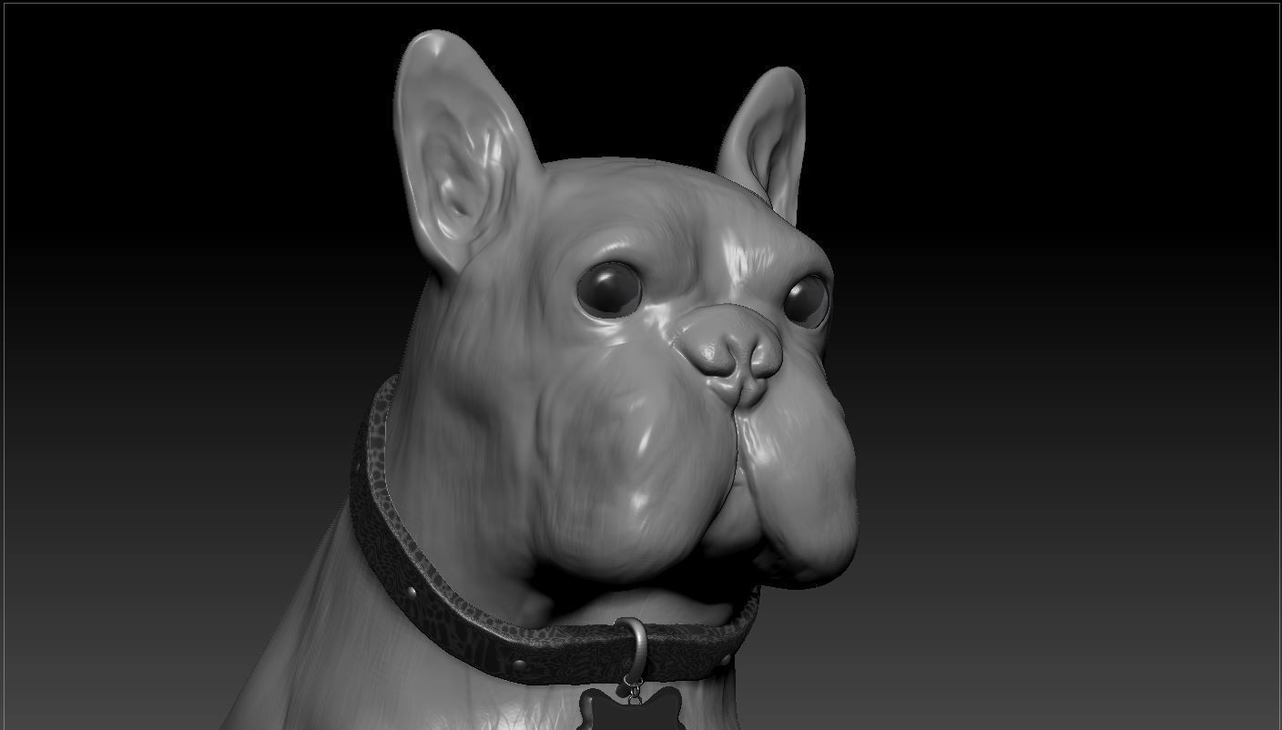 Bulldog french 3D model_7