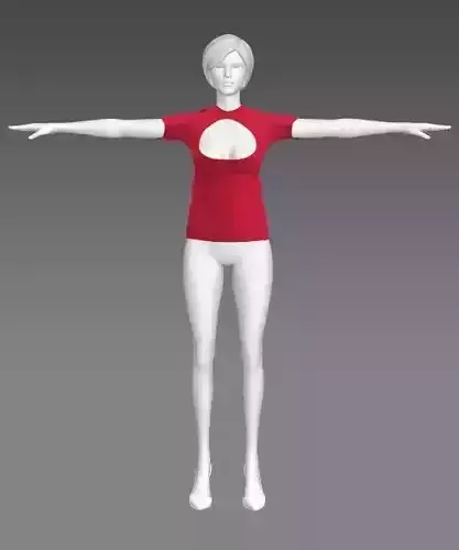Woman Clothing T-Pose 506