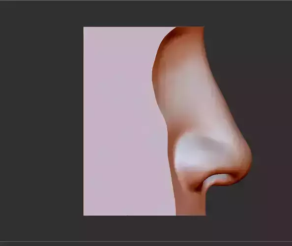Human nose model It can be printed in 3D Organ nose 3D print model