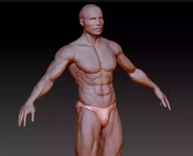 muscle man 3D model map download model 3D printing