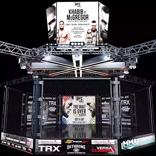 UFC Fighting Stage 3D model