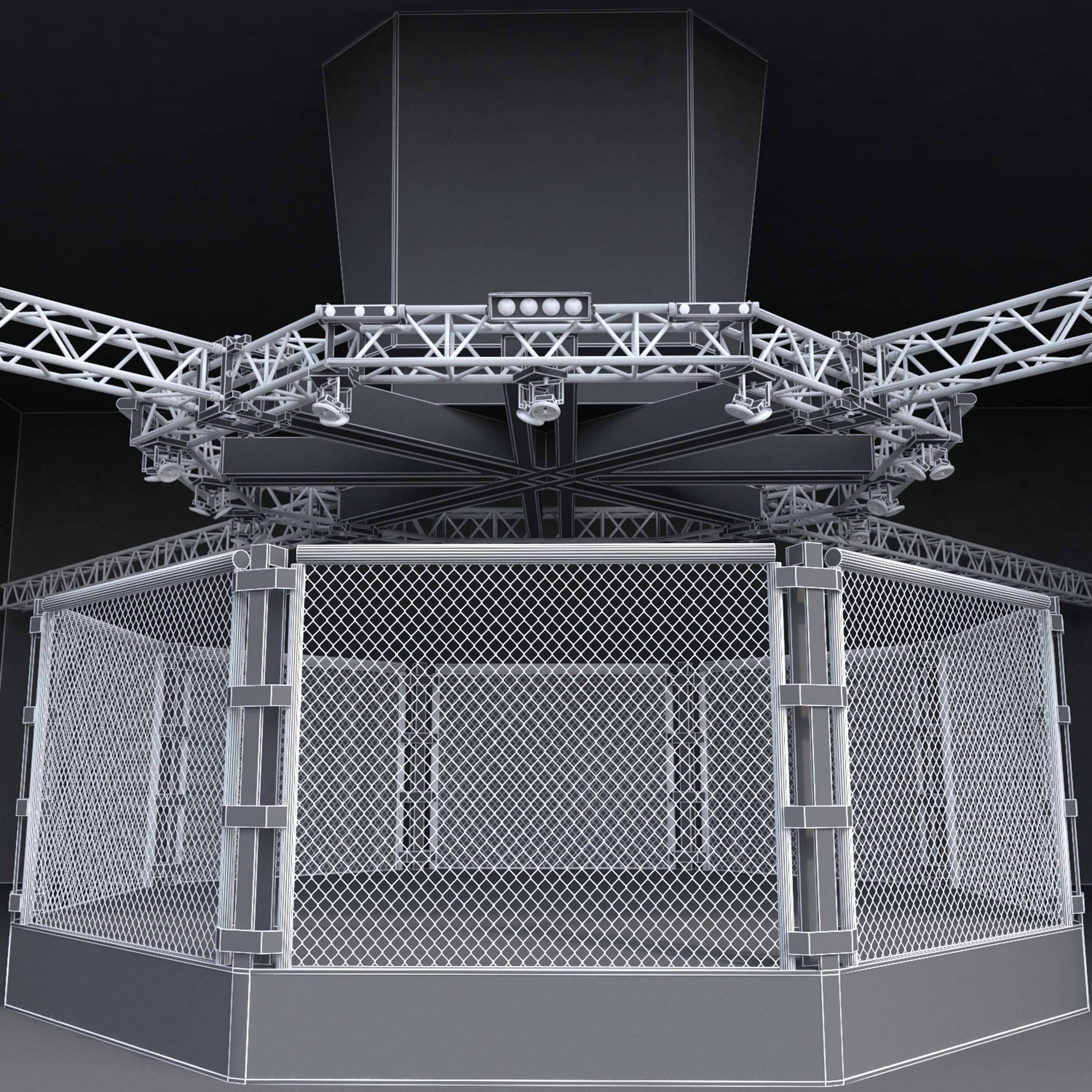UFC Fighting Stage 3D model_2