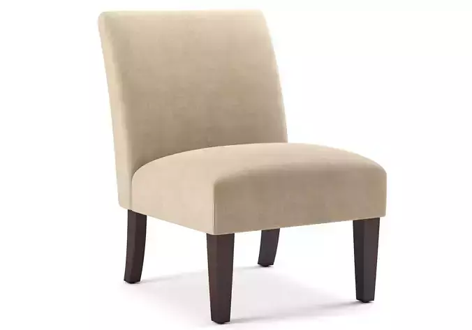 Kassi Contemporary Slipper Accent Chair