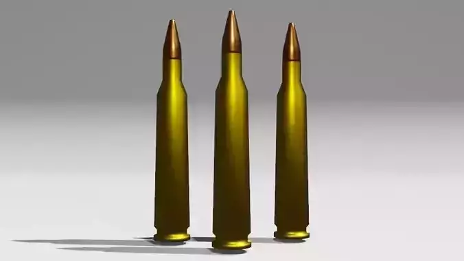 300 winchester magnum bullet