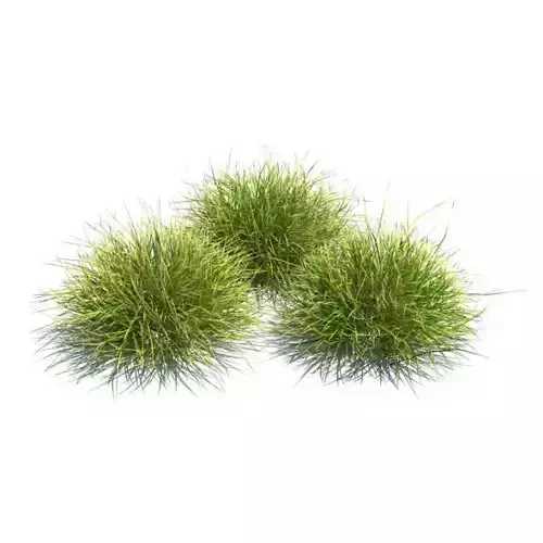 Three Peice Green Landscaping Grass