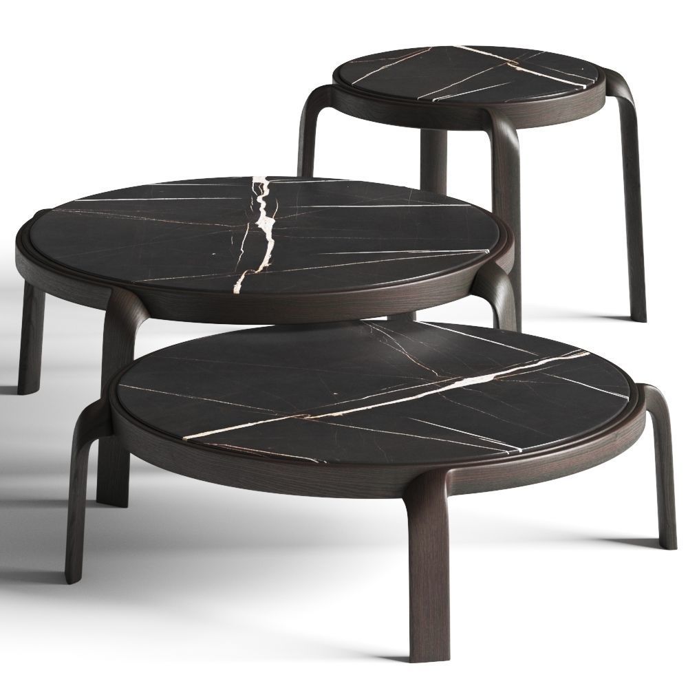 Cts Salotti Tape Coffee Tables 3D model_1