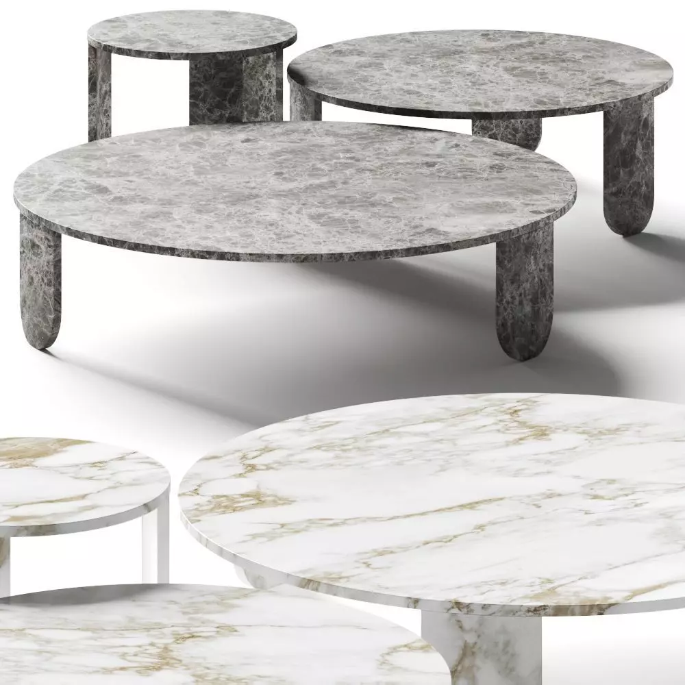 Gallotti and Radice Clemo Coffee Tables 3D model_0