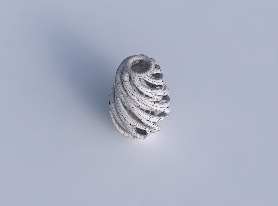 Vase spherical tapered with intertwining thick lines twisted ... 3D print model_6