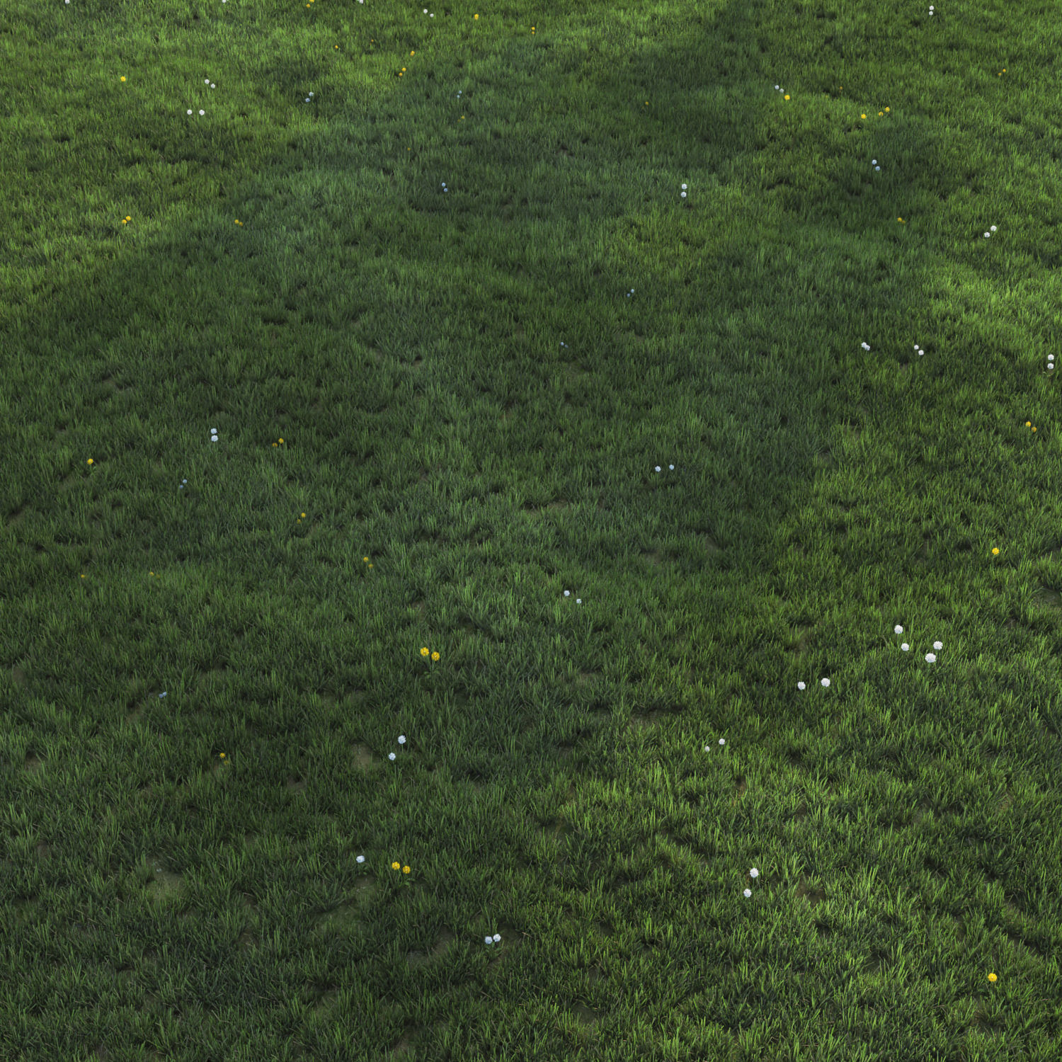 Grass with dandelions 3D model_3