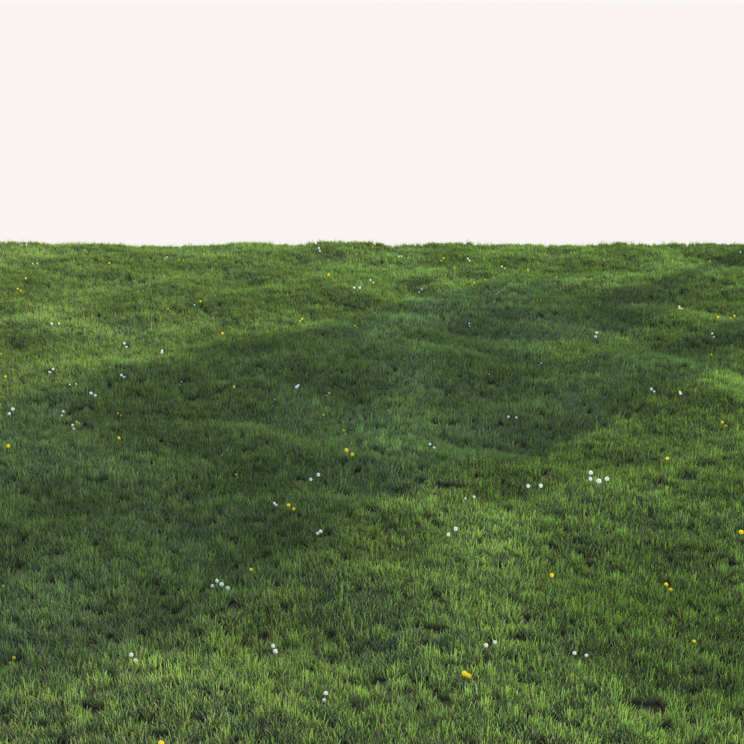 Grass with dandelions 3D model_1