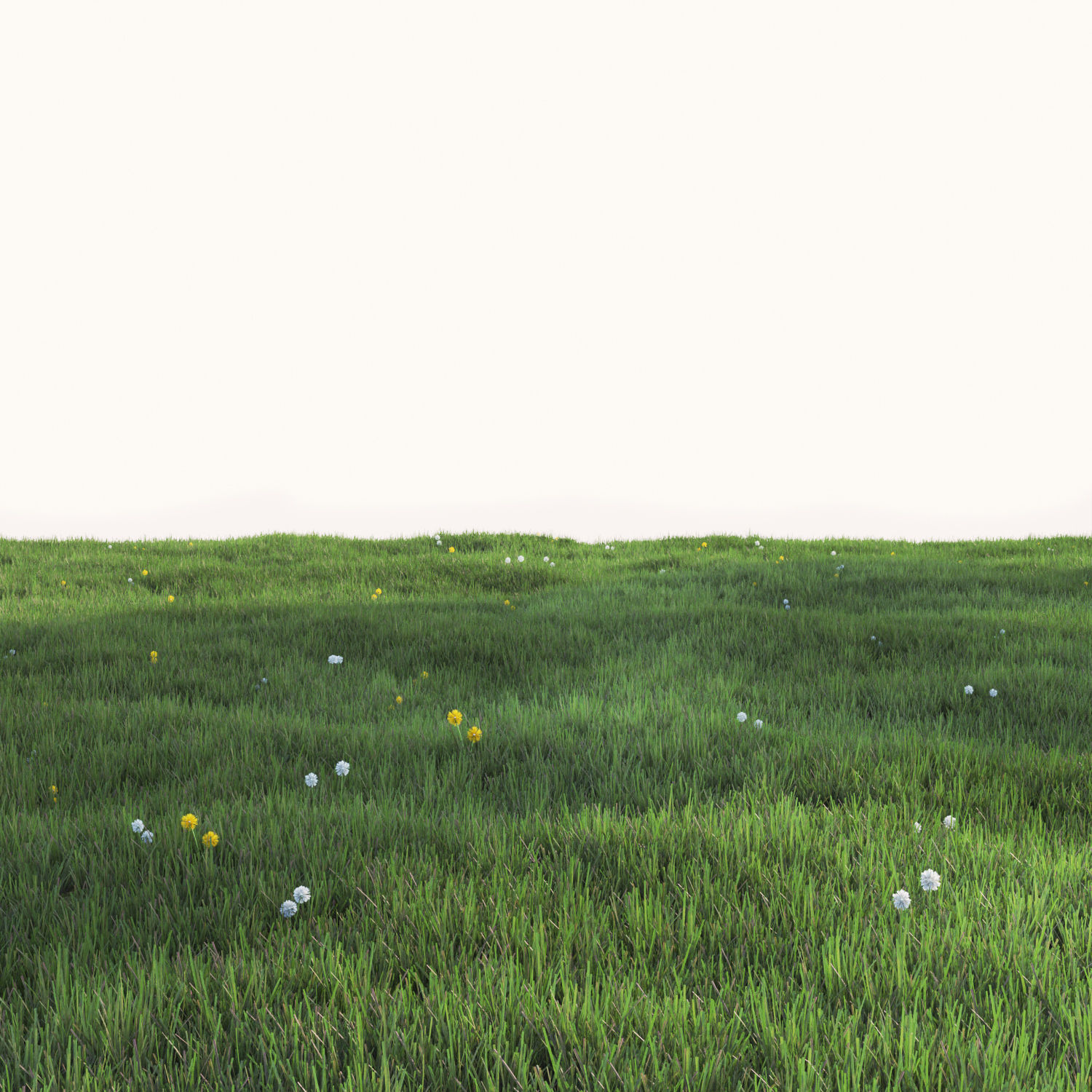 Grass with dandelions 3D model_2