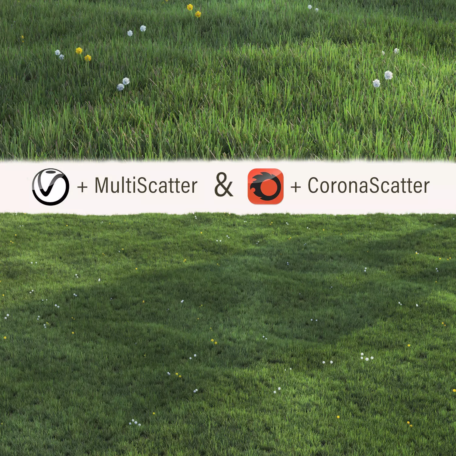 Grass with dandelions 3D model_0