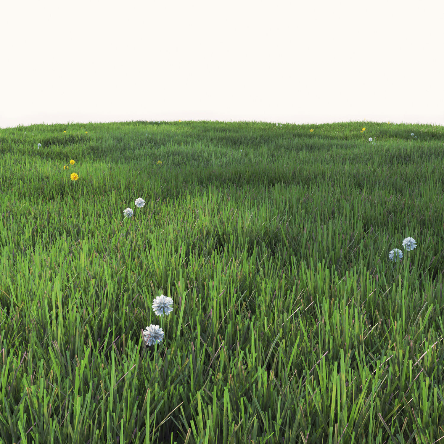 Grass with dandelions 3D model_4