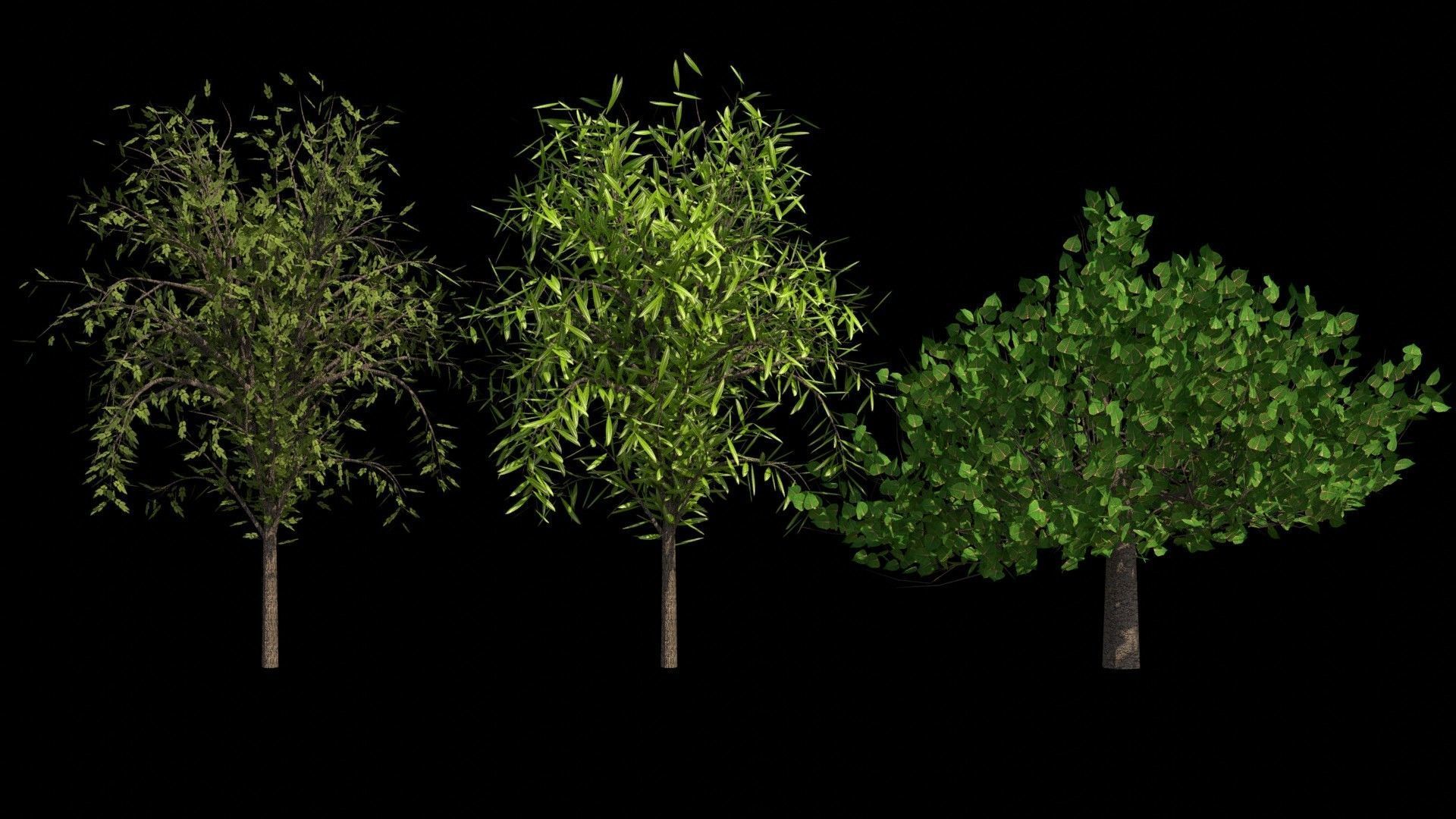 Trees and Bushes 3D model_3