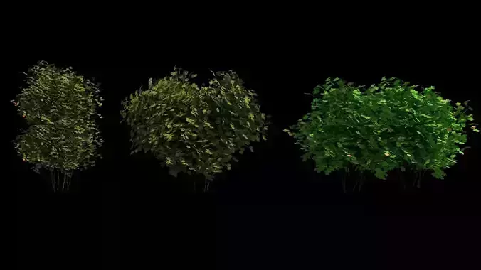 Trees and Bushes 3D model