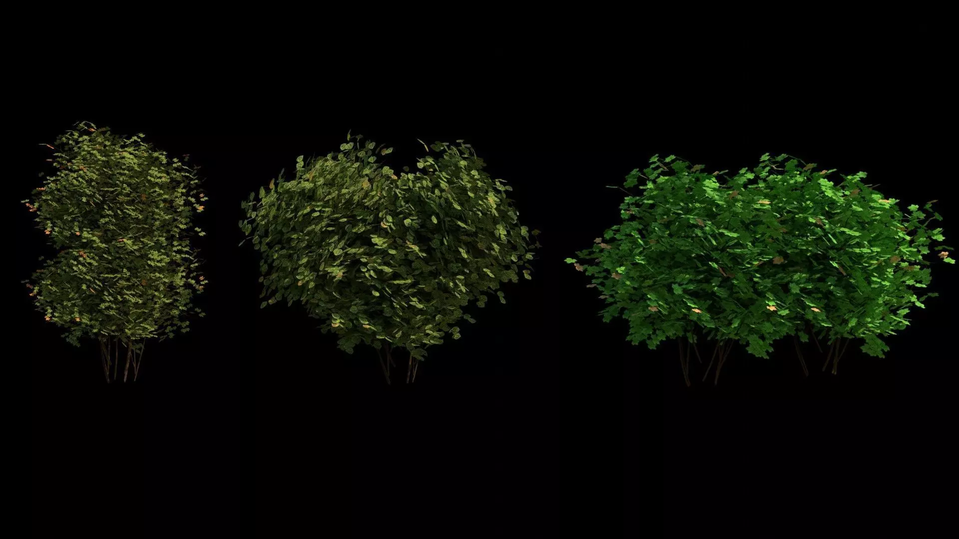 Trees and Bushes 3D model_0