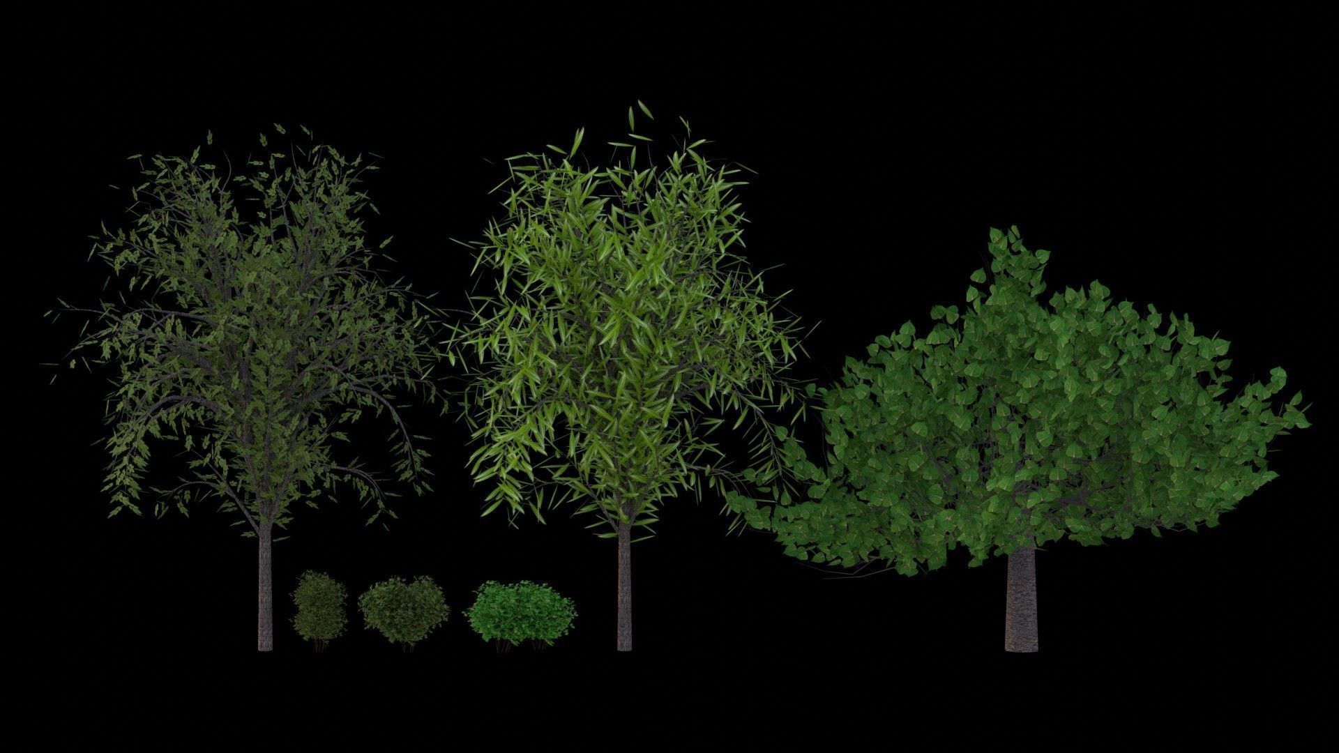Trees and Bushes 3D model_2