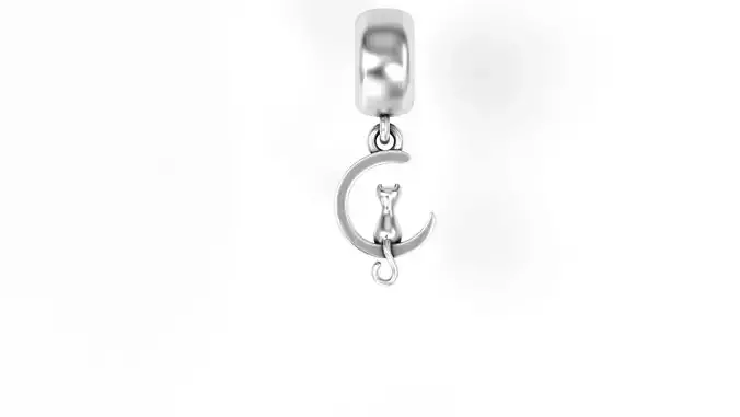 Cat with Moon Charm 3D print model  Cat with Moon Charm 3D print model