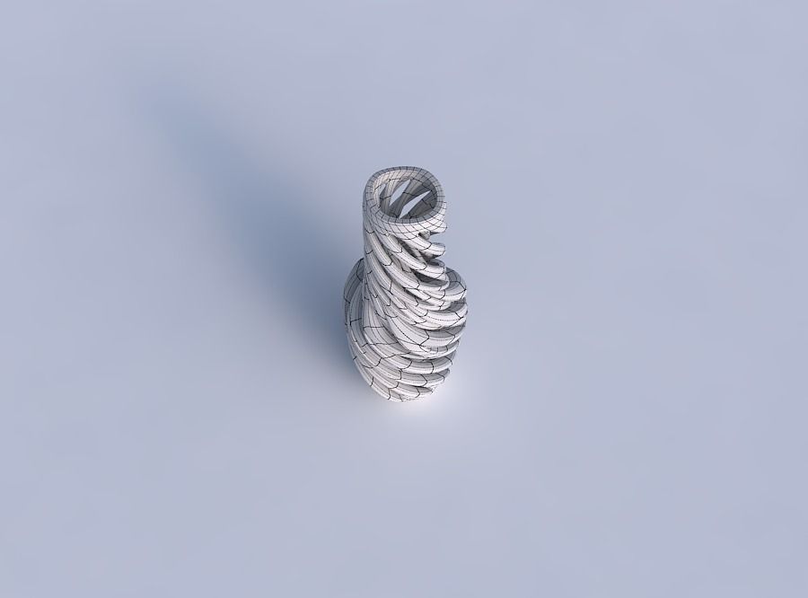 Vase slim wider middle with intertwining lines very twisted wavy 3D print model_6