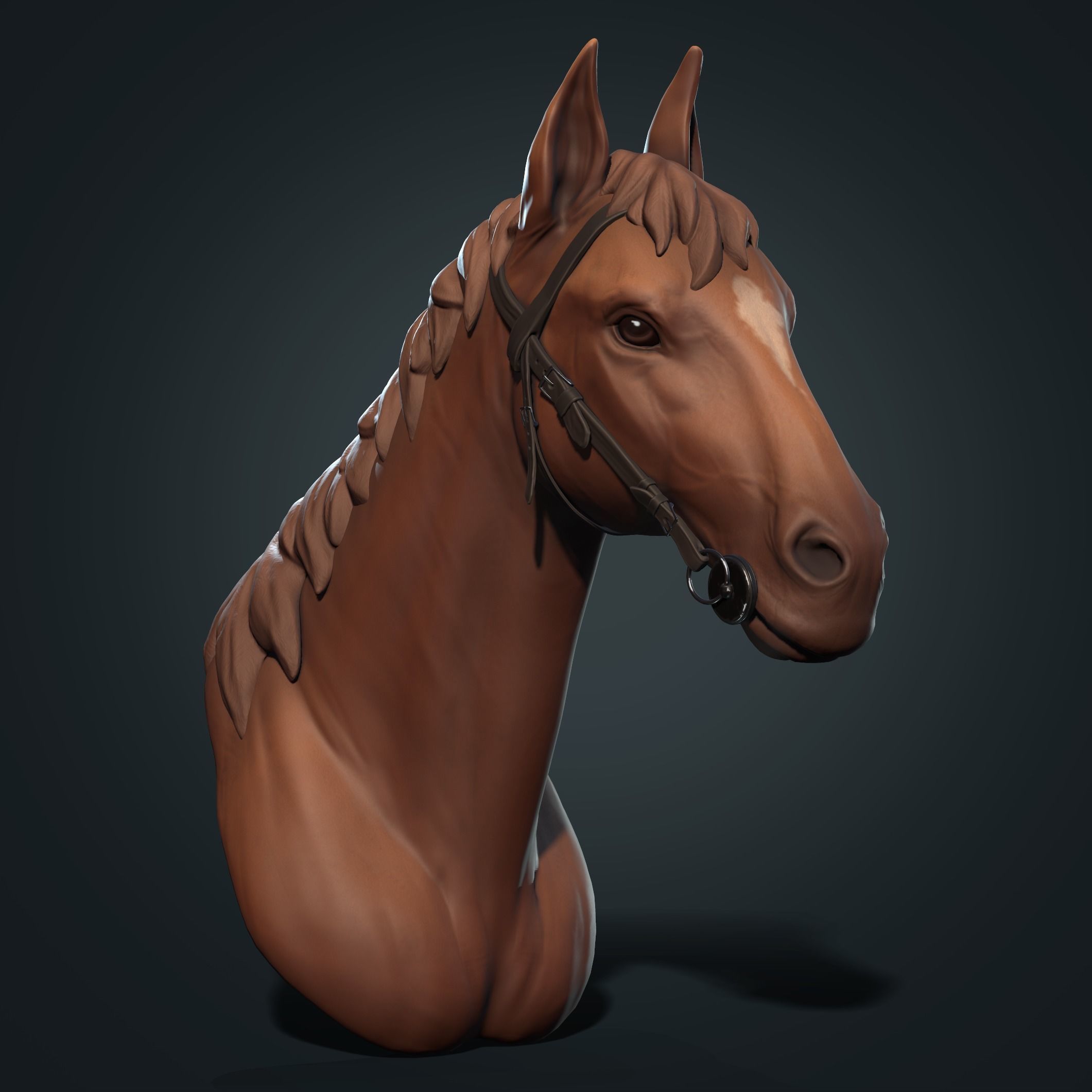 Head of Horse low poly model Low-poly 3D model_2