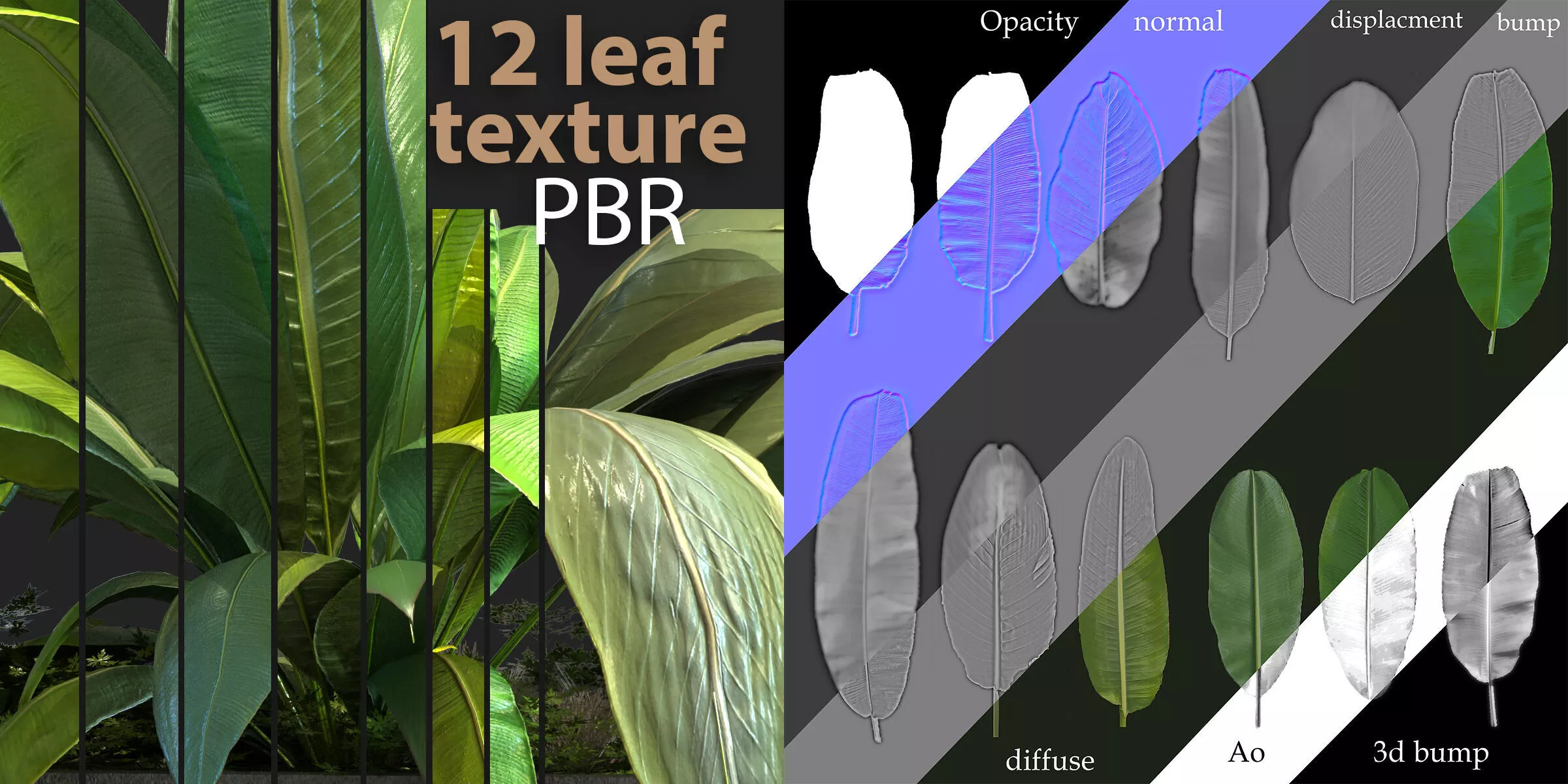 12 texture of banana leaf Texture