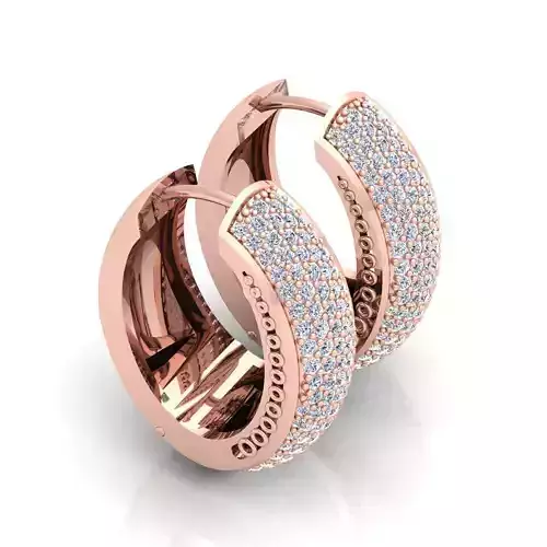 Big Hoop Earring 3d Model 