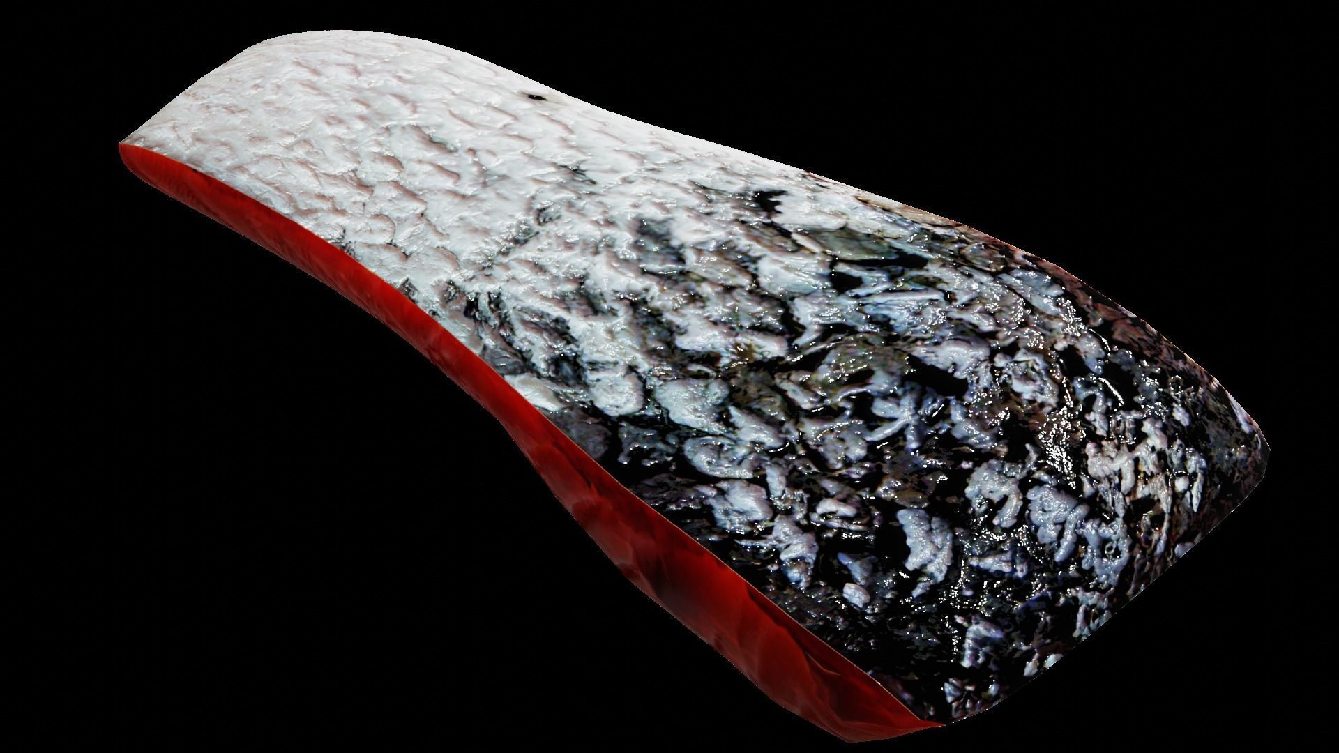 Salmon Fillet Low-poly 3D model_46