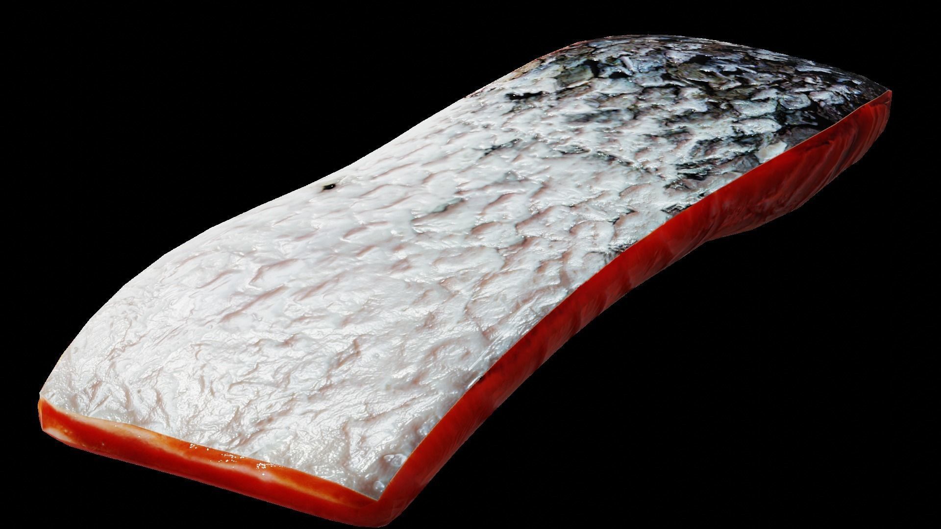 Salmon Fillet Low-poly 3D model_49