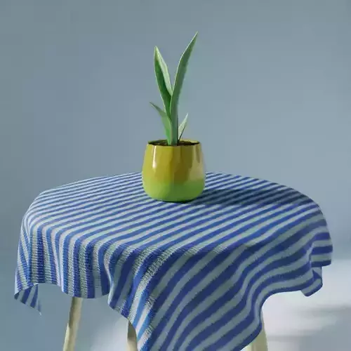 Fancy Potted Aloe Vera Plant on The Table