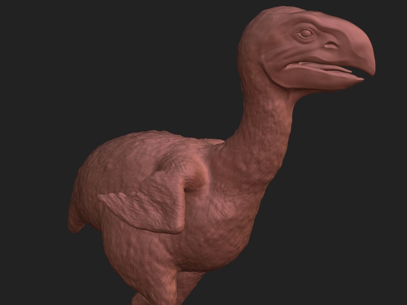Prehistoric Gastornis 3D print model_6
