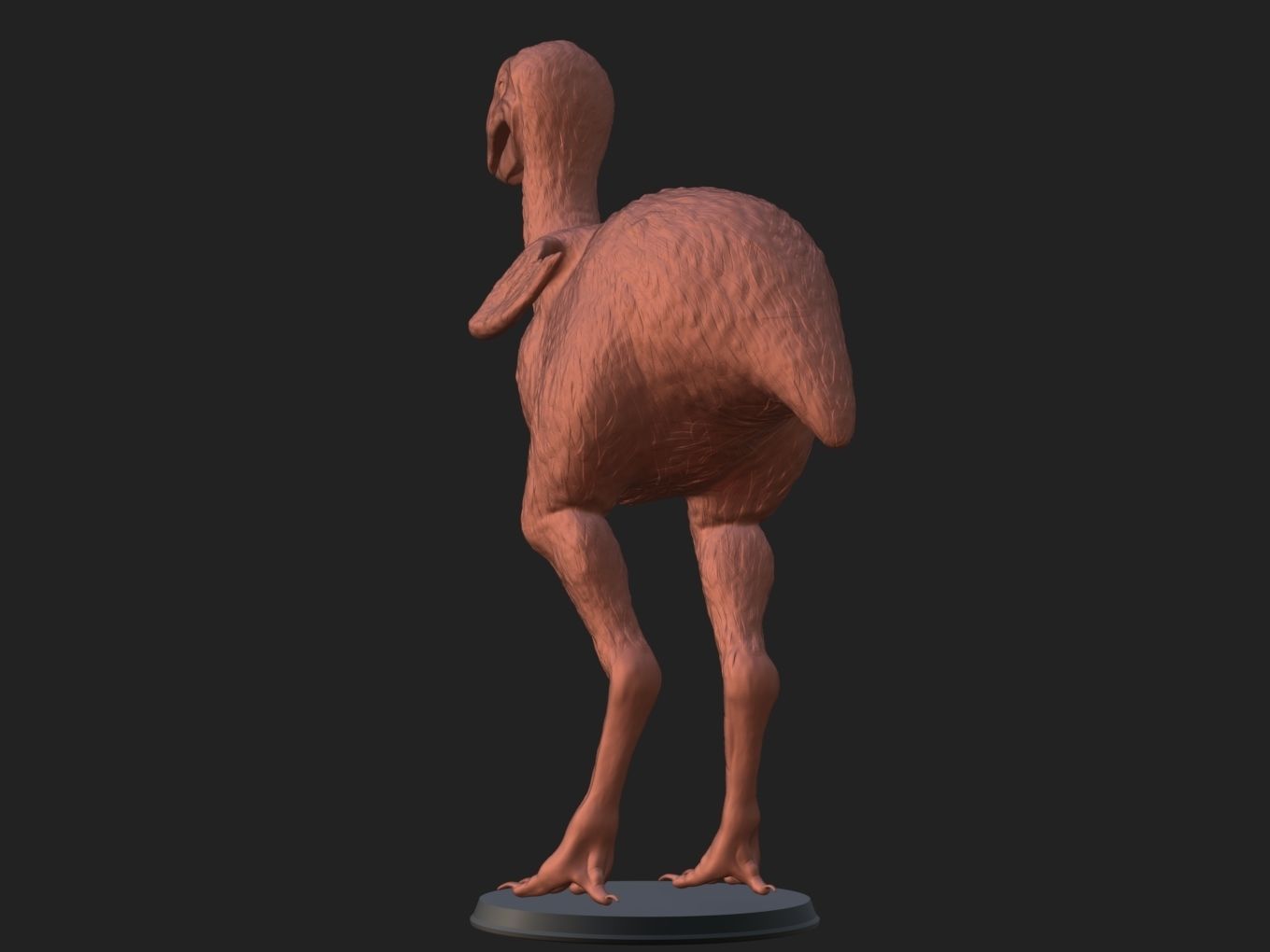 Prehistoric Gastornis 3D print model_4